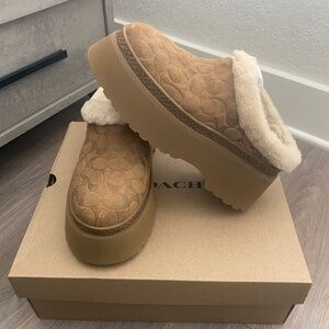 NEW* Coach - Cecilia Clog in Signature Suede